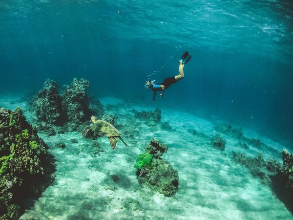 Où trouver les meilleurs spots pour le snorkeling dans les îles grecques : conseils et meilleures périodes ?